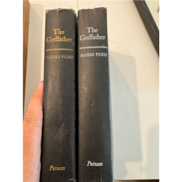 The Godfather books Mario Puzo