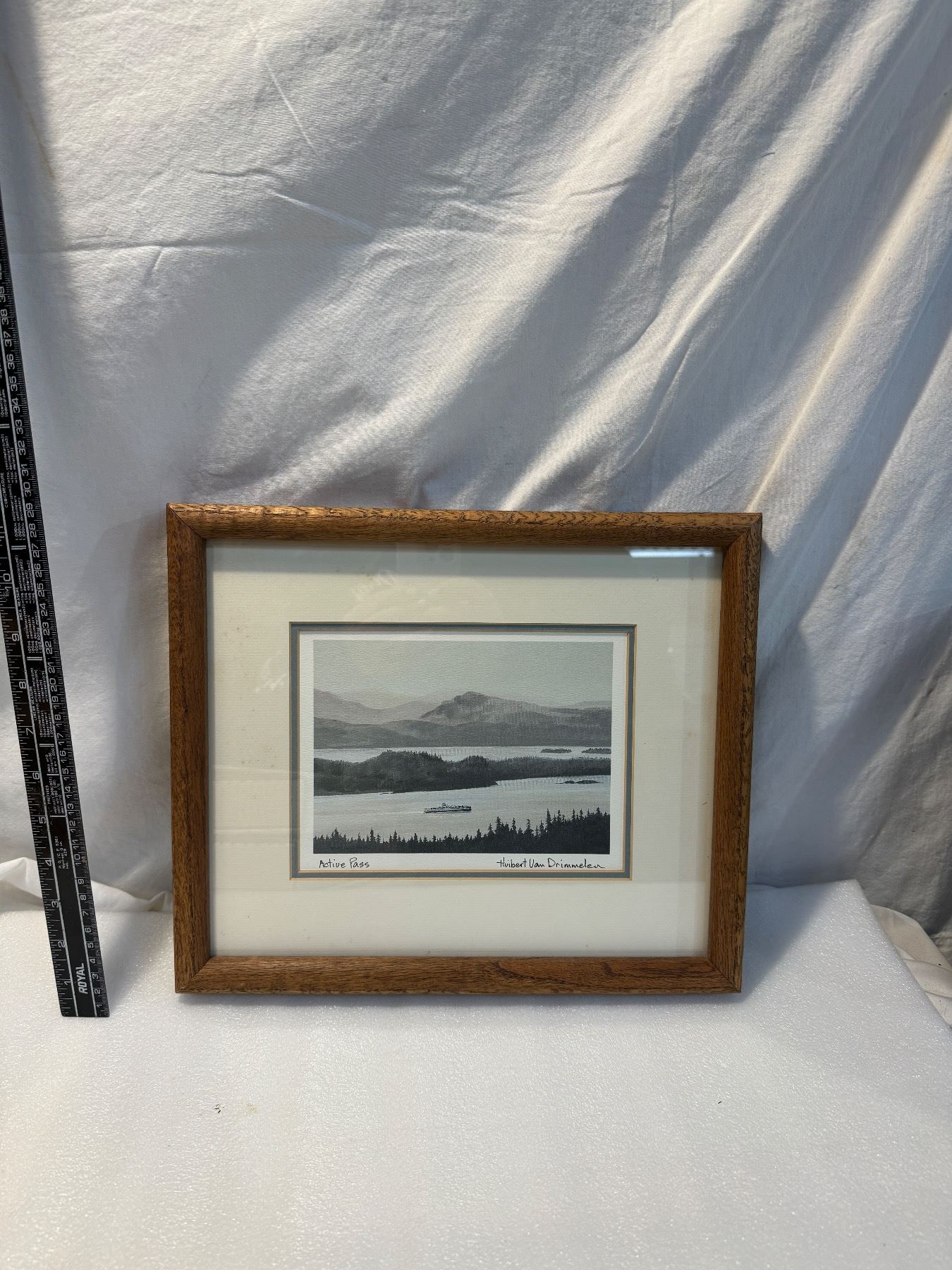 ACTIVE PASS BC015 visual data 6