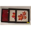 Image 1 : 3 FRAMED WALL HANGINGS