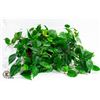 Image 1 : SILK PLANT 20"X6"X5"
