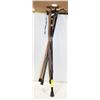 Image 1 : LOT OF CANES, INCLUDING ONE EXTENDABLE CANE