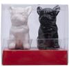 Image 1 : BRAND NEW BULLDOG THEMED SALT AND PEPPER SHAKERS