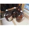 Image 3 : 7 Brown Jugs 1 Gal 