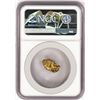 Image 2 : 3.62 Gram Yukon Gold Nugget NGC Graded