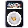 Image 2 : 4.00 Gram Arizona Gold Nugget NGC Vaultbox Unvaulted