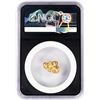Image 2 : 4.63 Gram Alaska Gold Nugget NGC Vaultbox Unvaulted