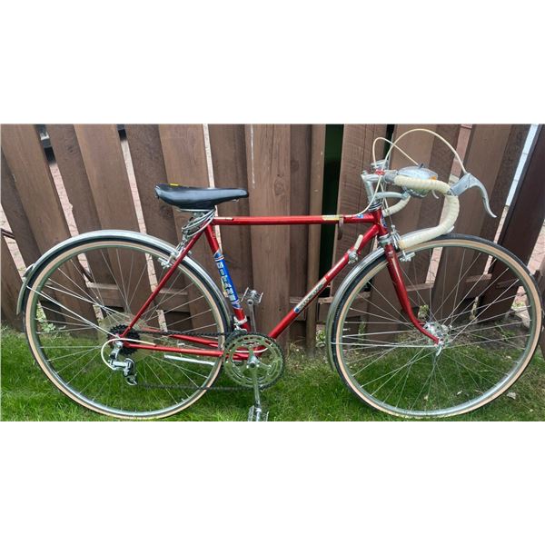 Vintage Giante  Road Bike Men's Large Frame Ten Speed