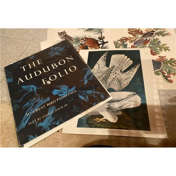 Audubon Print Folio