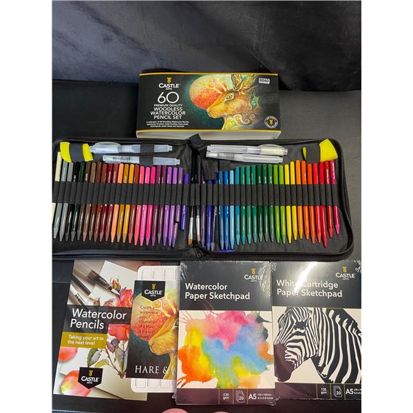 Lot of 1 Castle Arts 60PC Premium Quality Woodless Watercolor Pencil Set