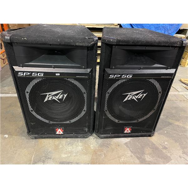 Lot of 2 Peavey SP 5G Sound Reinforcement Loud Speakers - Used