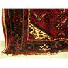 Image 5 : Persian carpet #40820- Hamadan, 9.8' x 5.3'- estimated retail price $3,158 (8888)
