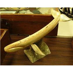 Michael Scott whale on whale bone (2)