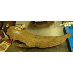 10" section of prehistoric bison horn (114)