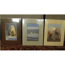 Lot of 3 polar bear pictures - fighting, mother and 2 cubs, ice fishing in action (2)