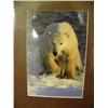 Image 2 : Lot of 3 polar bear pictures - fighting, mother and 2 cubs, ice fishing in action (2)