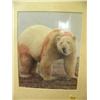 Image 4 : Lot of 3 polar bear pictures - fighting, mother and 2 cubs, ice fishing in action (2)