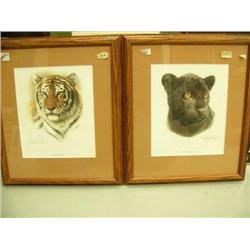 lot of 2 Charles Frances cat prints - black jaguar and bengal tiger (2)