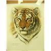Image 2 : lot of 2 Charles Frances cat prints - black jaguar and bengal tiger (2)