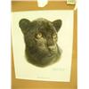 Image 3 : lot of 2 Charles Frances cat prints - black jaguar and bengal tiger (2)