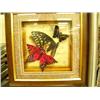 Image 5 : Lot of 15 framed shells, butterflies, half ship models and daggers (8888)