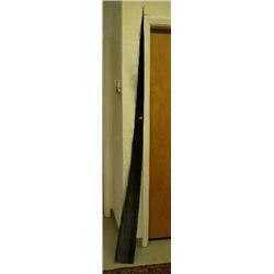 CHOICE on 4 baleen stripes 84" cleaned and polished, this years whale (2)