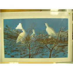 CHOICE on 6:  W.E. Kirk ptarmigan