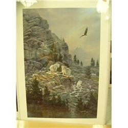 CHOICE on 6: Kelly 524/950 mountain goats