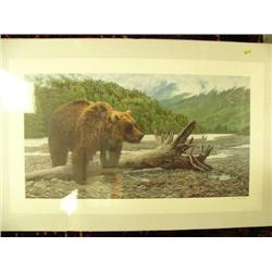 CHOICE on 6:Brown bear signed and numbered by Jim Beaudoin