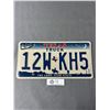 Image 1 : Texas The Lone Star State Truck License Plate