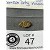 Image 2 : 2.64 gr. Brown's Creek Gold Nugget. Dawson City, Yukon