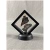 Image 2 : Rare High Grade Black Kynite MSRP $480.00