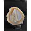 Image 1 : Genuine Natural Agate Slice Formation MSRP $1100.00