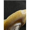 Image 2 : Genuine Natural Agate Slice Formation MSRP $1100.00