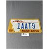 Image 1 : Montana 100 Years License Plate