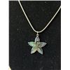 Image 2 : NZ Paua Shell Pendant Necklace & Pair Of Matching Earrings