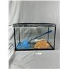 Image 1 : New 5 Gallon Acrylic Aquarium w/ Light Cover & Accessories