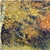 Image 2 : Colors of Fall by Stekolschikov Original