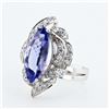 Image 1 : 3.42 ctw Tanzanite and 0.36 ctw Diamond 14K White Gold Ring