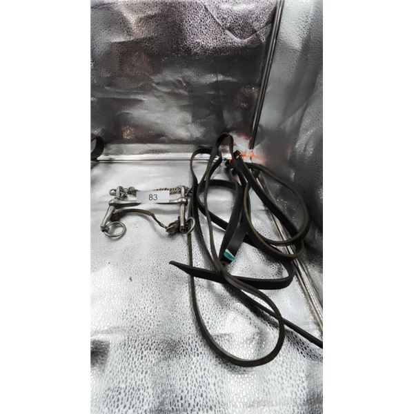 Leather Horse Halter with Reins / Mouth Bit