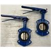 Image 2 : (2) Ohio Valve Co. #4100DBL Valves