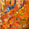 Image 2 : Canyon View by Fallas Original