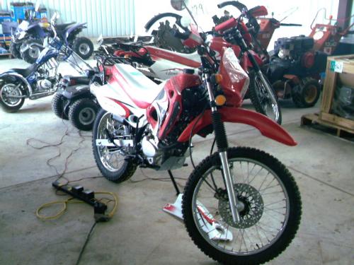 terminator 110cc pit bike