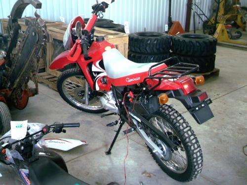 terminator 110cc pit bike