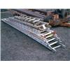 Image 1 : ASSORTMENT OF LADDERS