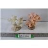 Image 1 : (2) Mounted Coral Pieces