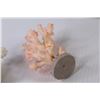 Image 5 : (2) Mounted Coral Pieces