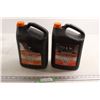 Image 1 : (2) Bottles OEM Antifreeze - (1) Sealed, (1) Almost Full