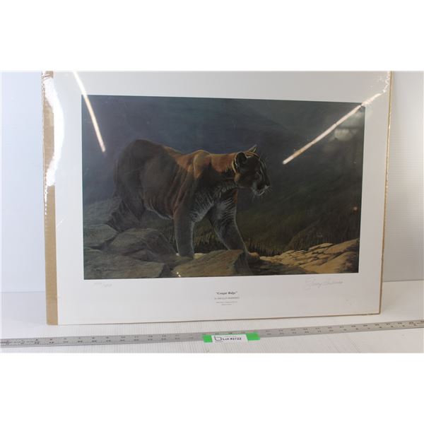 Ducks Unlimited Print " Cougar Ridge" - 26" x 20" - No Frame