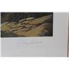 Image 3 : Ducks Unlimited Print " Cougar Ridge" - 26" x 20" - No Frame