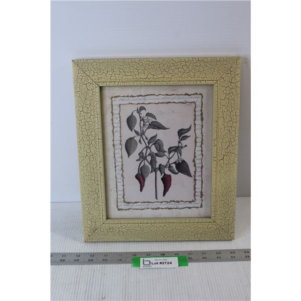 Pepper Plant Picture in Wood Frame - 13" x 11"